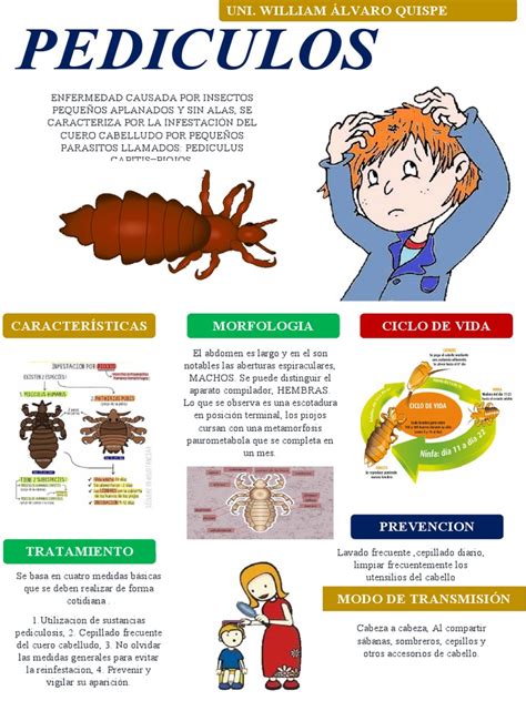Infografía sobre la prevención de la pediculosis capitis
