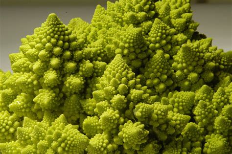 Variedades de coliflor