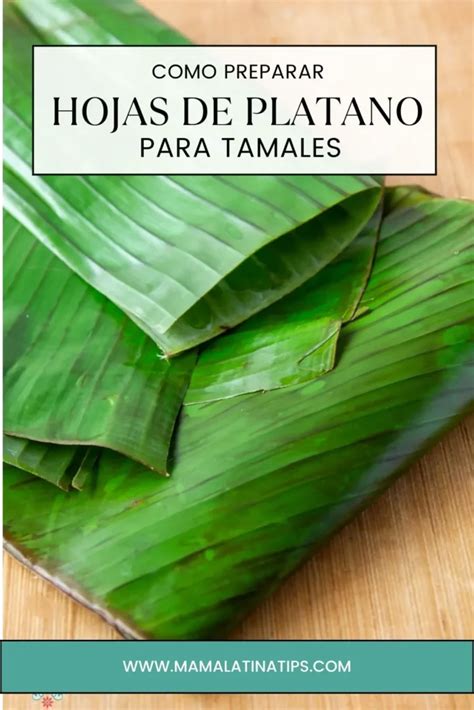 Preparación de hojas de plátano para tamales