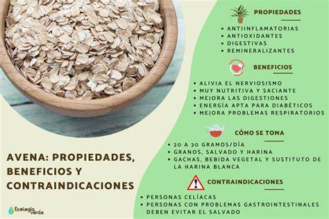 Infografía sobre los beneficios de la avena