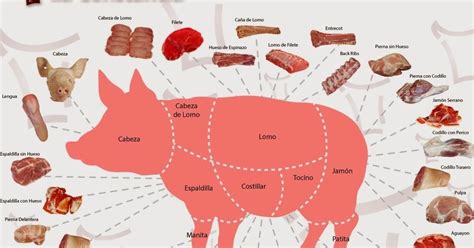 Diferentes cortes de carne de cerdo