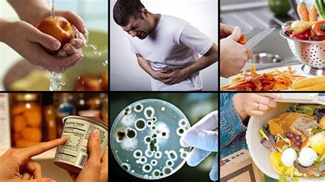 Alimentos contaminados por bacterias