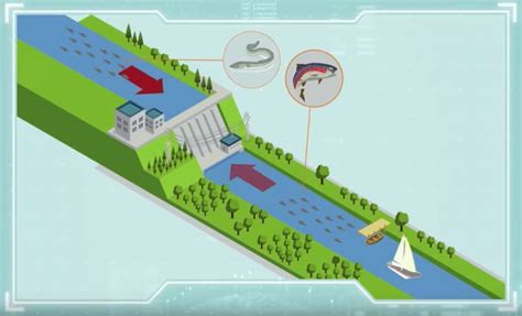Ilustración del sistema 'Escalera de Peces' con un tornillo giratorio