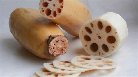 Flor de loto y su raíz