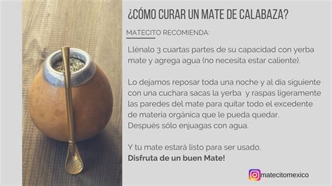 Calabaza de mate virgen lista para curar