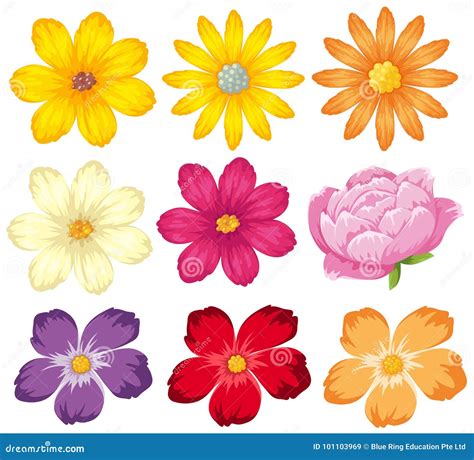 Ilustración de diferentes tipos de tortitas coloridas