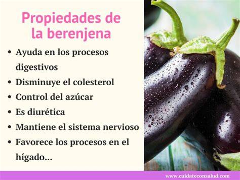Propiedades y beneficios de la berenjena