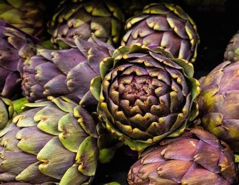 Diferentes variedades de alcachofas, destacando las moradas