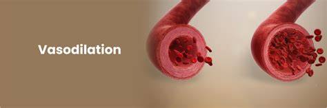 Proceso de vasodilatación y efecto
