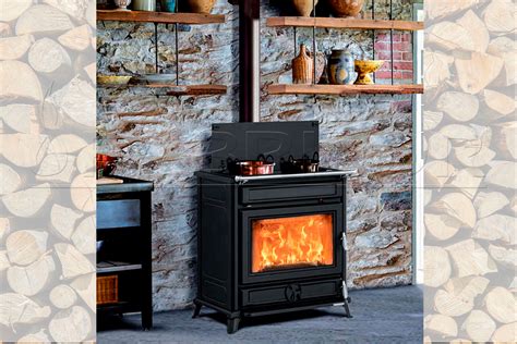 Variedad de chimeneas y estufas de leña y pellets