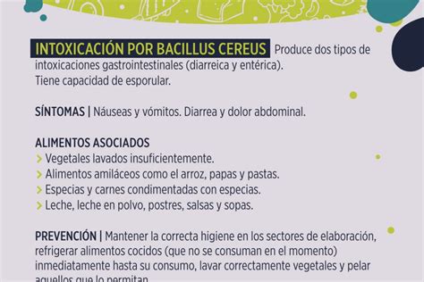 Gráfico de síntomas de intoxicación por Bacillus cereus y tiempo de aparición