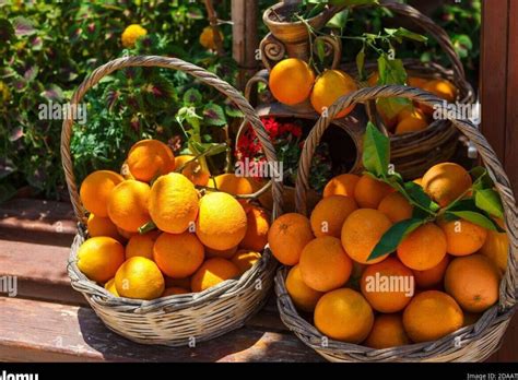 Cesta con naranjas frescas y pan de naranja recién hecho