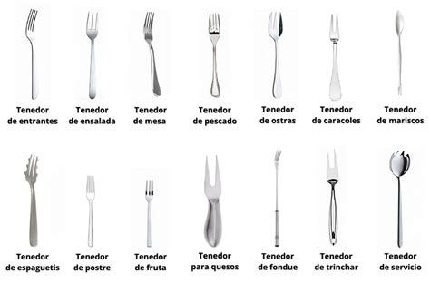 Ilustración de diferentes tipos de tenedores y cucharas