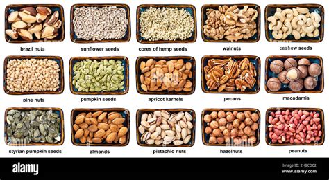 Variedad de frutos secos y semillas aptas para la dieta keto