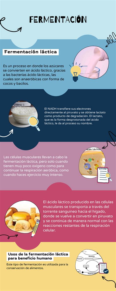 Ilustración del proceso de fermentación láctica en la leche
