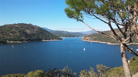 Paisaje del Embalse del Calabazar con pinos y aguas tranquilas