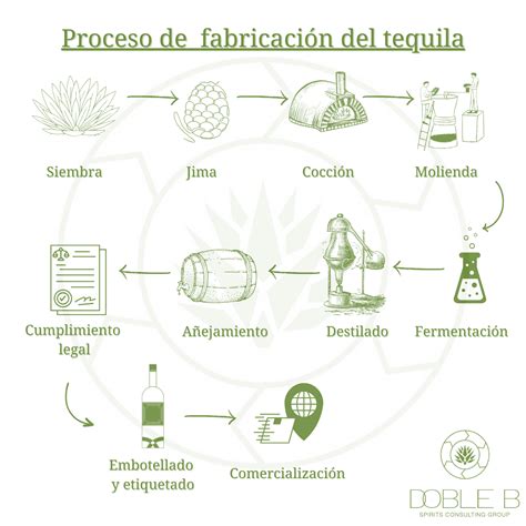Proceso de extracción y elaboración del sirope de agave