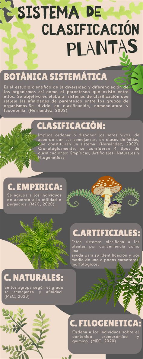 Infografía comparando la clasificación botánica y culinaria de la calabaza