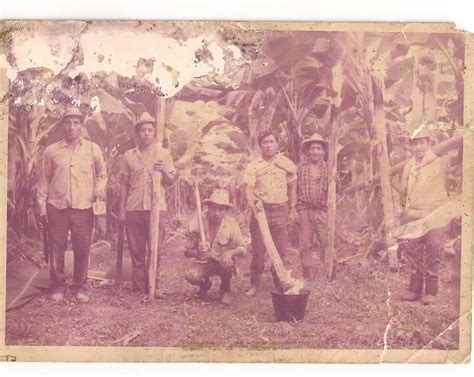 Fotografía antigua de oseznos siendo alimentados