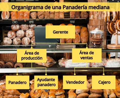 Esquema de las actividades principales de una panadería