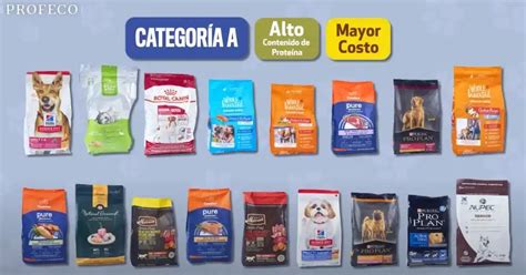 estudio de croquetas para perros Profeco