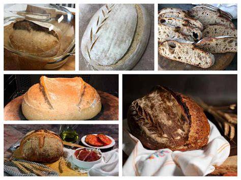 Tipos de panes de masa madre