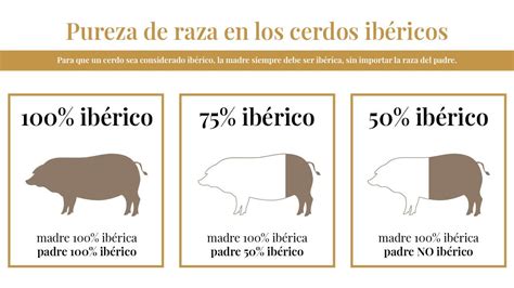 Esquema de los porcentajes de pureza de raza del cerdo ibérico