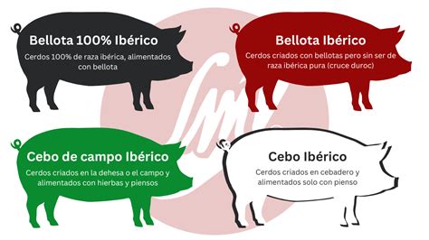 Tabla con los principales productos elaborados del cerdo ibérico