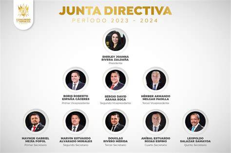 Gráfico de la composición de la nueva junta directiva por sector
