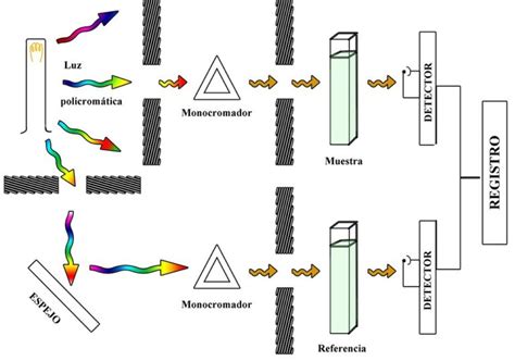 Esquema del funcionamiento de un espectrofotómetro, mostrando el paso de la luz a través de una muestra y su detección