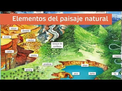 Elementos de un paisaje