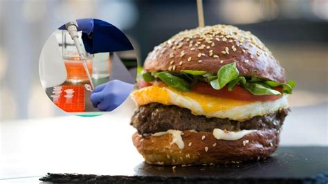 Hamburguesa de laboratorio