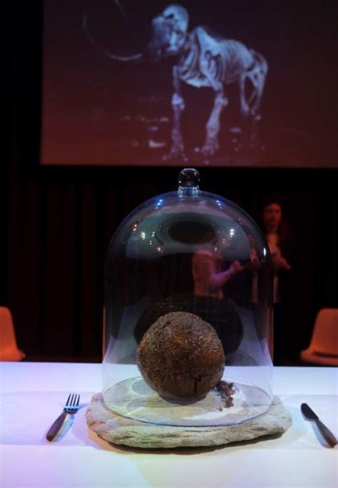 Albóndiga de mamut en exhibición