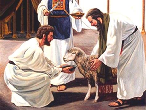 Ritual del sacrificio del cordero pascual en la tradición samaritana