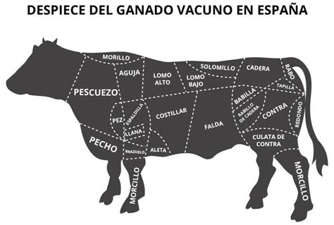 Esquema de las partes del vacuno