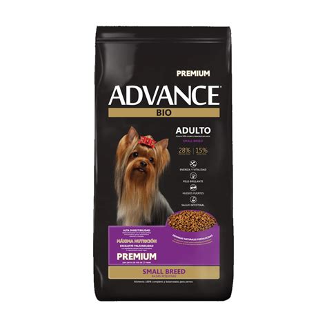 Perro adulto de raza pequeña comiendo alimento Advance Sensitive Mini