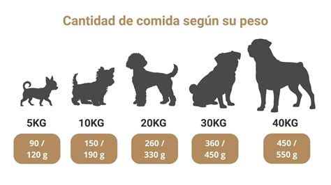 Tabla de raciones recomendadas para perros según peso y actividad