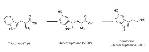 Representación de moléculas de serotonina y triptófano