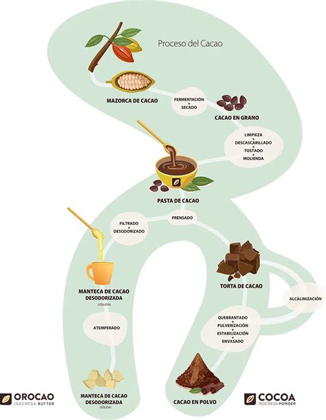Granos de cacao y proceso de elaboración del chocolate