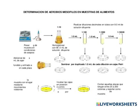 Diagrama de flujo de los métodos de recuento de microorganismos en alimentos