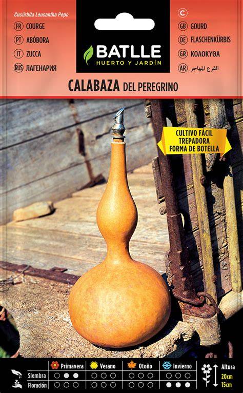 Cantimplora de calabaza del peregrino labrada