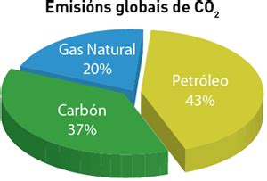 Comparativa de combustibles para barbacoa: carbón vs gas