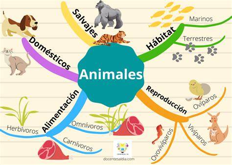 Mapa mental con conceptos relacionados con el aprendizaje de idiomas