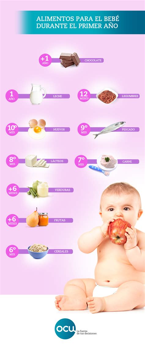 Esquema de las etapas de alimentación en el primer año de vida del bebé