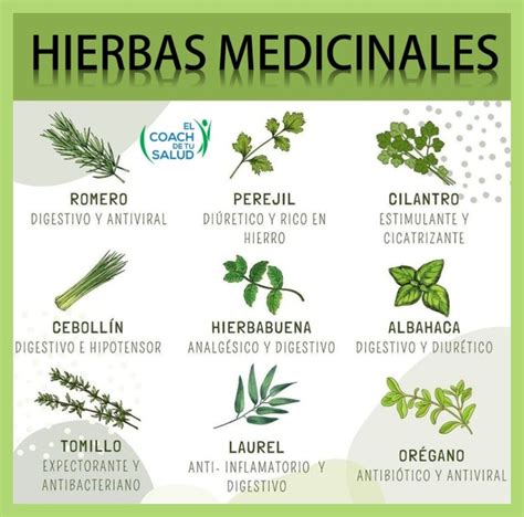 Variedad de plantas y hierbas medicinales en Red Dead Redemption 2