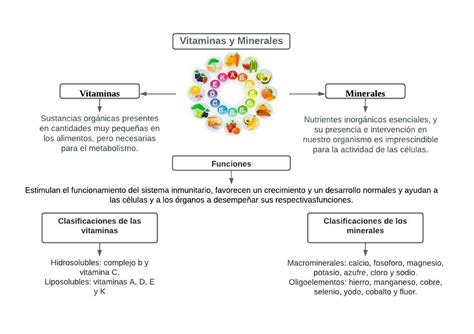 Esquema de las vitaminas y minerales presentes en el salmón
