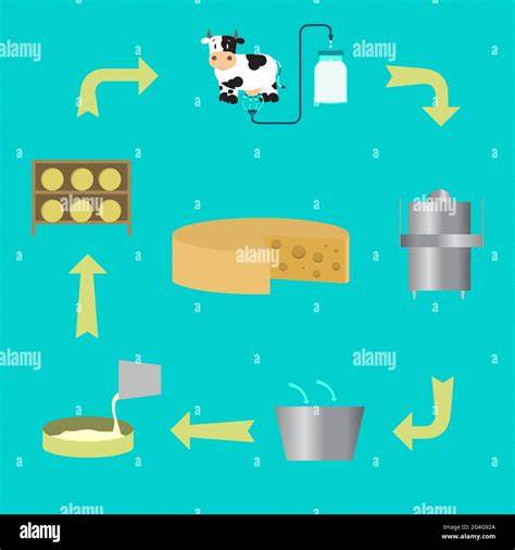 Proceso de elaboración del queso cheddar