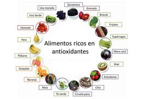 Gráfico de los principales antioxidantes en el membrillo