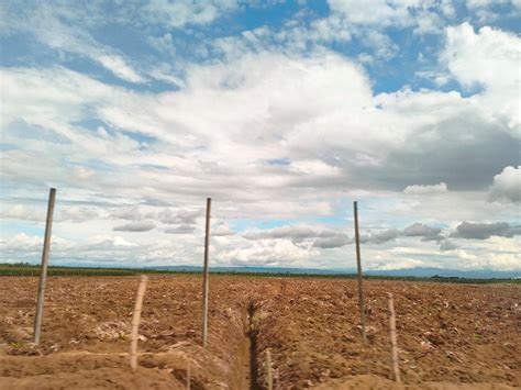 Preparación del terreno para el cultivo de calabazas