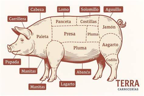 Variedad de cortes de cerdo
